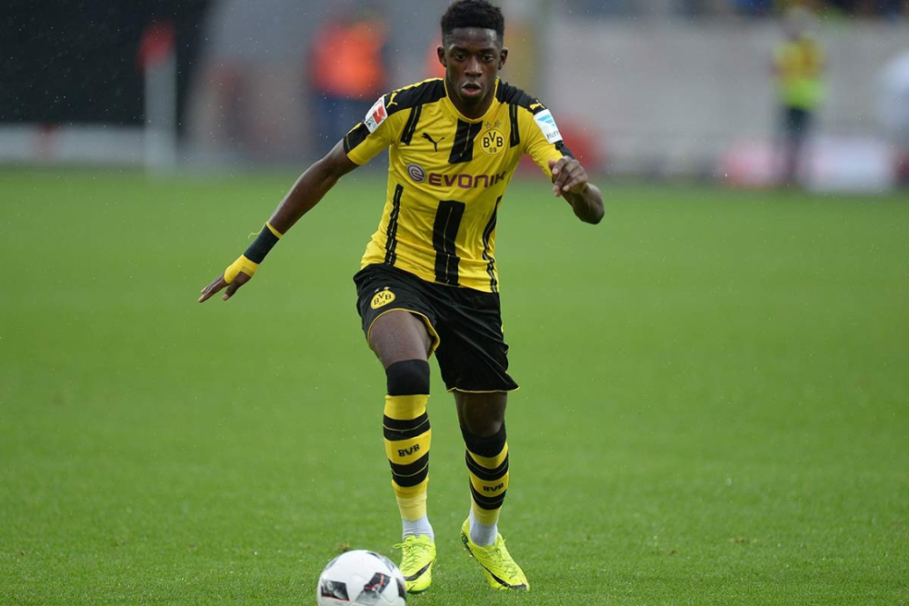 他们不仅能 他们不仅能